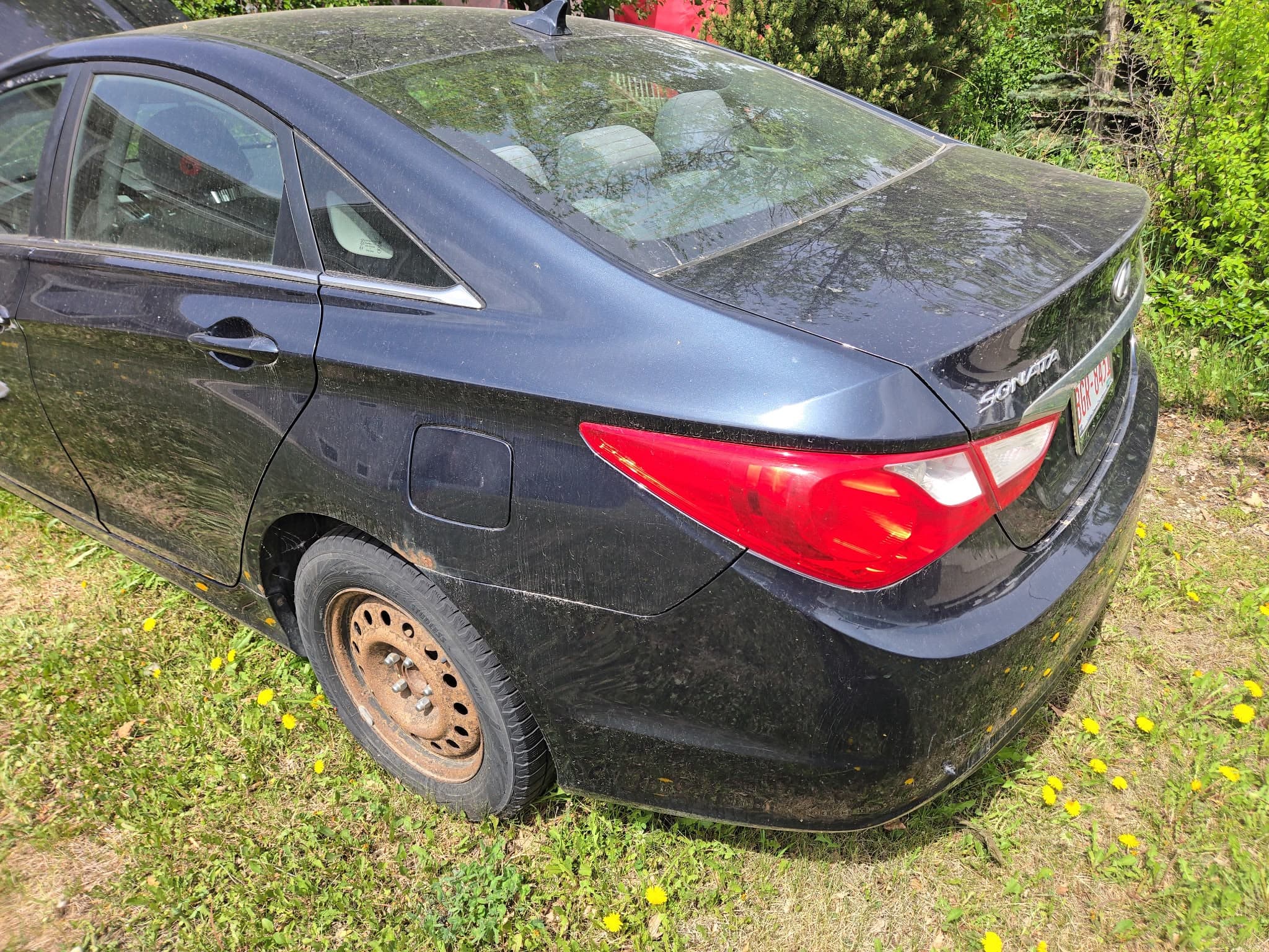 Used vehicle collected for cash in Springbrook